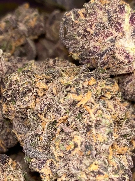 Top Shelf Freak