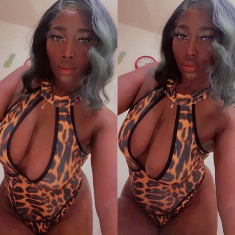 Chocolate Stallion