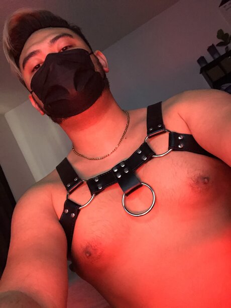 Foto di nudo di fuga di OnlyFans di Mask For Masc