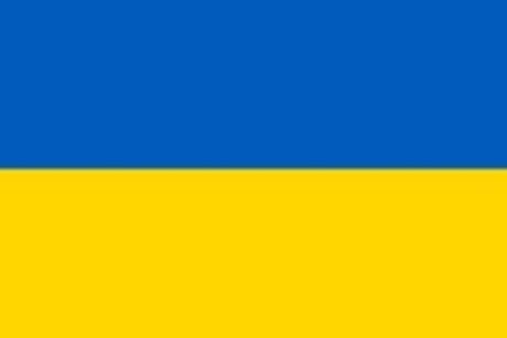 Ukrainian Cat Luchik