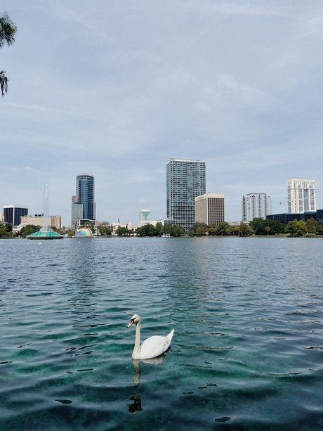 Foto di nudo di fuga di OnlyFans di Spritzdad