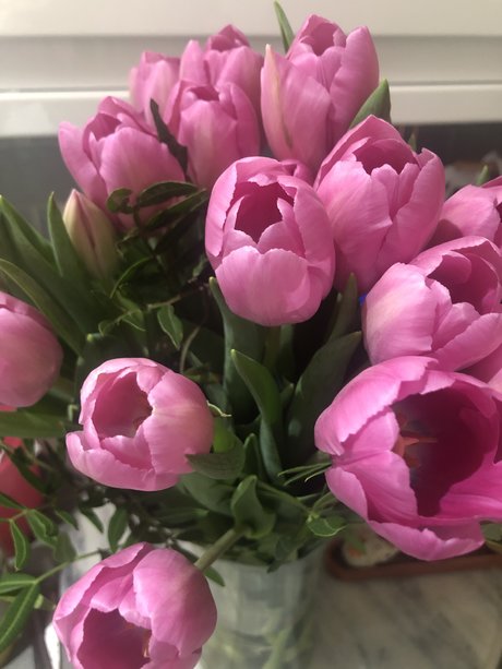 Rosepetal