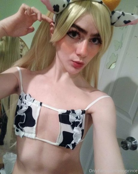Pixyprince
