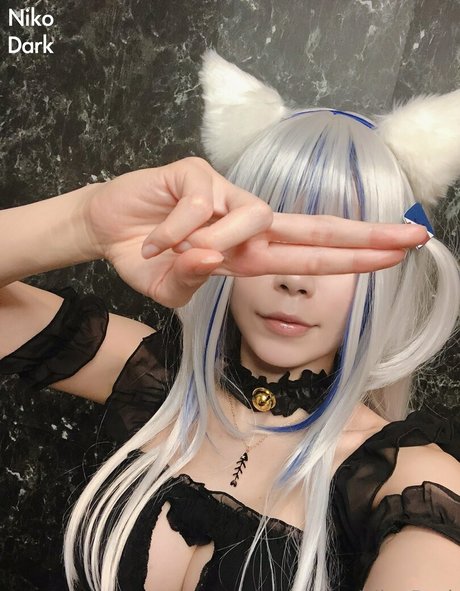 Nikodark
