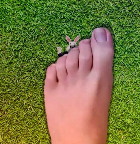 Foto di nudo di fuga di OnlyFans di Wreckinbecca