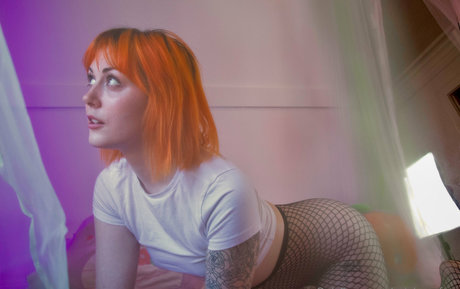 Aziebugxfree