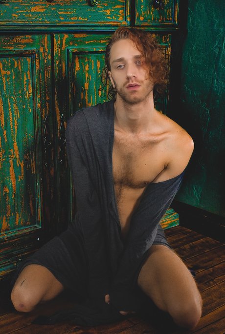 Foto di nudo di fuga di OnlyFans di Sylveztor Steelbone