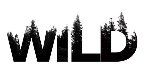 Youmakemewild