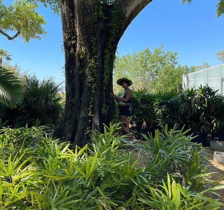 Plantbae