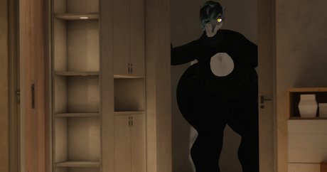 Vernacularshark