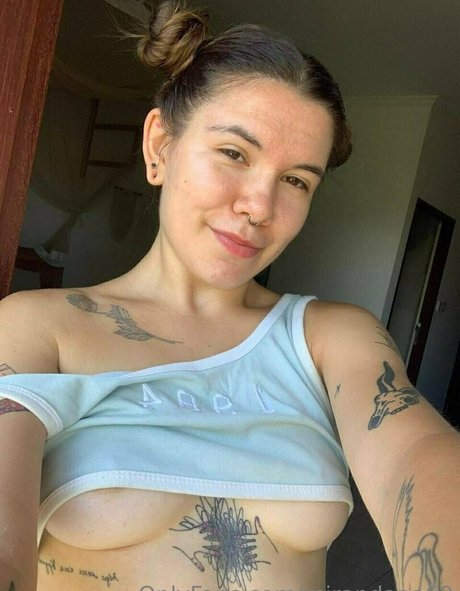 Isabelaevans