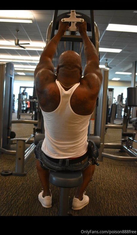Toolsfreepage