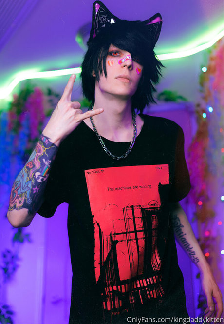 Kingdaddykitten