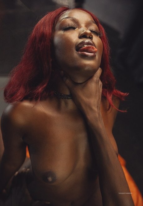 Foto di nudo di fuga di OnlyFans di The Booty Warden