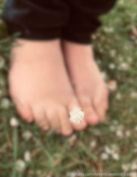 Ravenclawslostdiadem