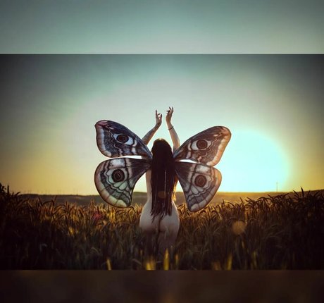 Wyndprinzessin