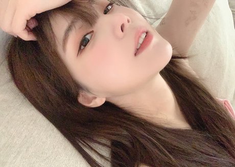 Plppt123