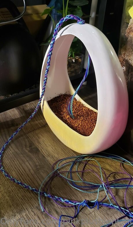 Foto di nudo di fuga di OnlyFans di Pinkplushieplants