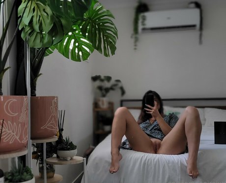 Lanireixo