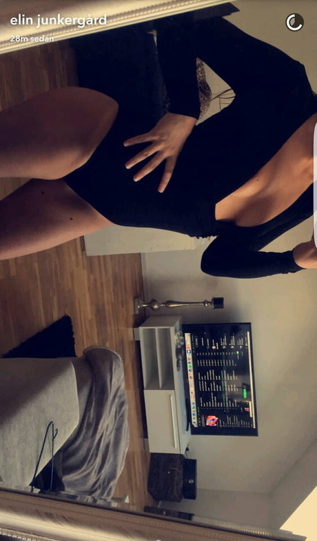 Foto di nudo di fuga di OnlyFans di Elin Junkergard