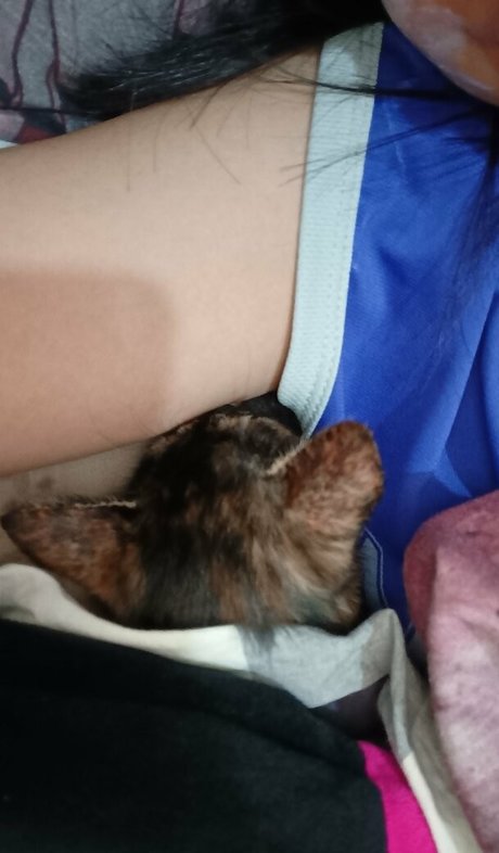 Kittylunna