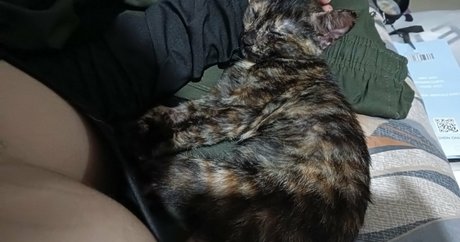 Kittylunna