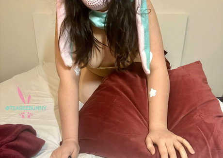 Foto di nudo di fuga di OnlyFans di Teaseebunny