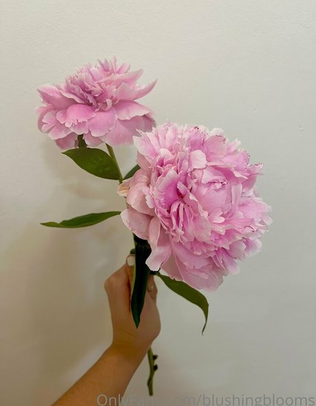Blushingblooms