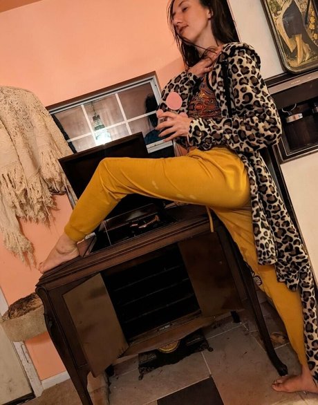 Katcalico