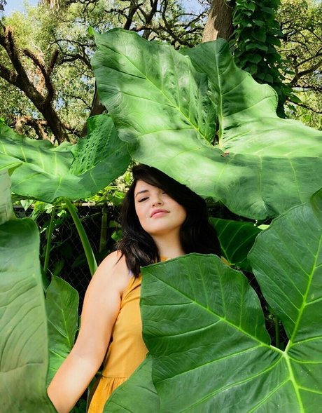 Alondra Larson