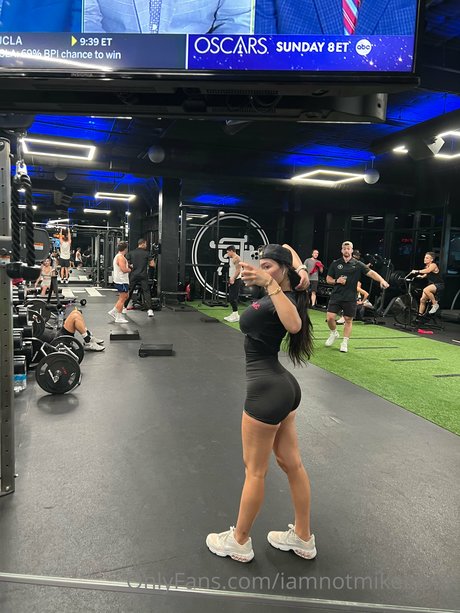 Tyson Daily Salomon
