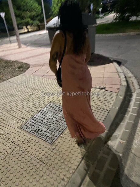 Foto di nudo di fuga di OnlyFans di Freepetitebrida