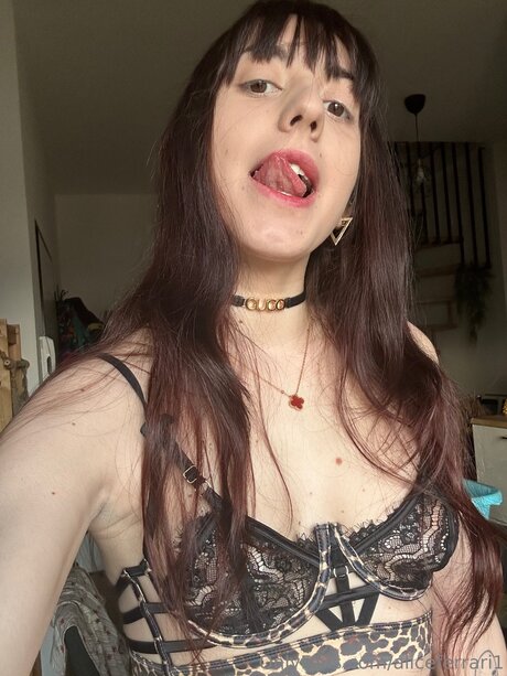 Aliceferrari1