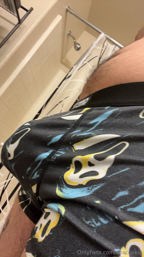 Foto di nudo di fuga di OnlyFans di Seacookie