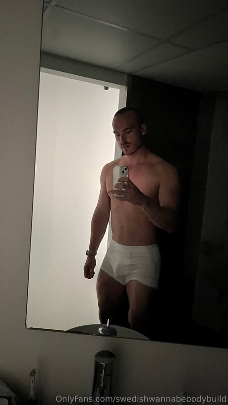 Swedishwannabebodybuild