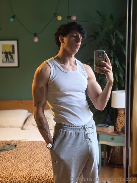 Foto di nudo di fuga di OnlyFans di Artemisbold