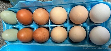 Foto di nudo di fuga di OnlyFans di Chickenlady Eggs