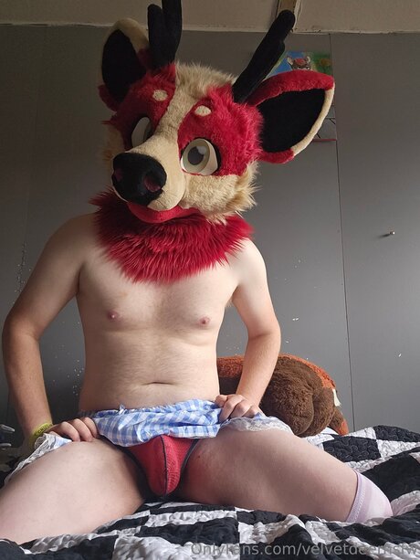 Foto di nudo di fuga di OnlyFans di Velvetdeernsfw