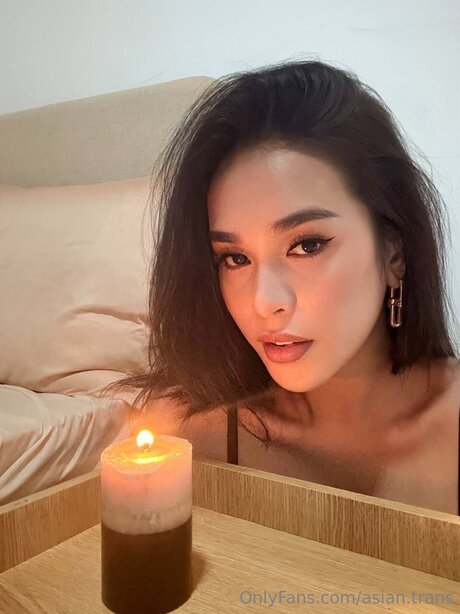 Asian Trans