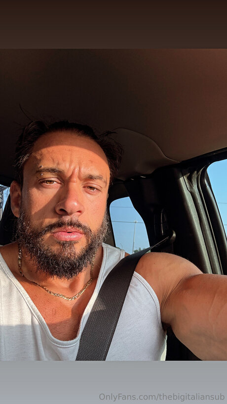 Thebigitaliansub