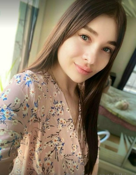 Vikivi