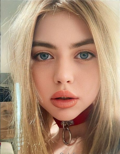 Viki.vi