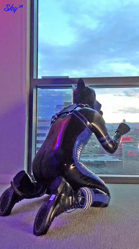 Foto di nudo di fuga di OnlyFans di Skystudios42
