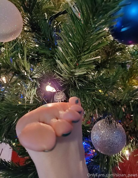 Sloan_paws