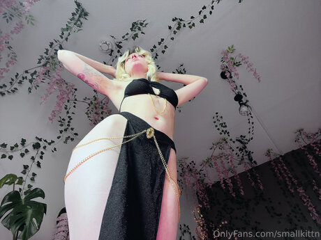 My Blushy Kittn Free