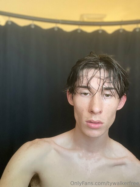 Tywalkerfree
