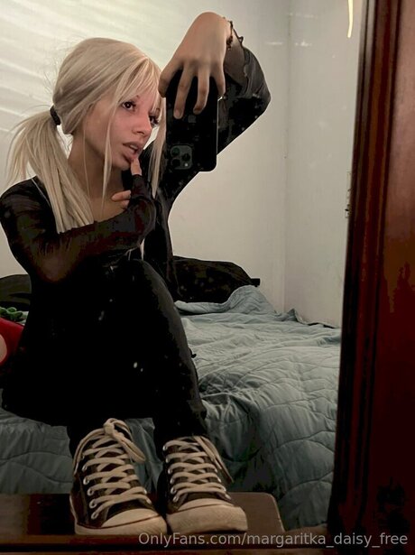 Margaritka Daisy Free