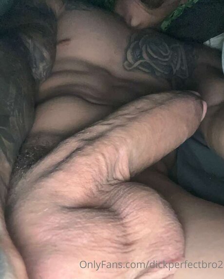 Dickperfectbro2