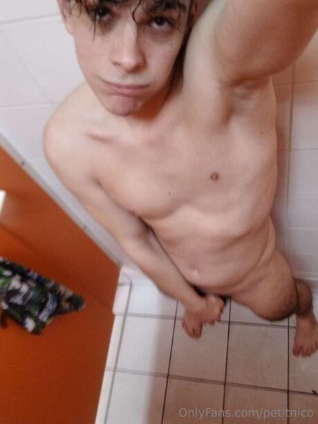 Petitnico