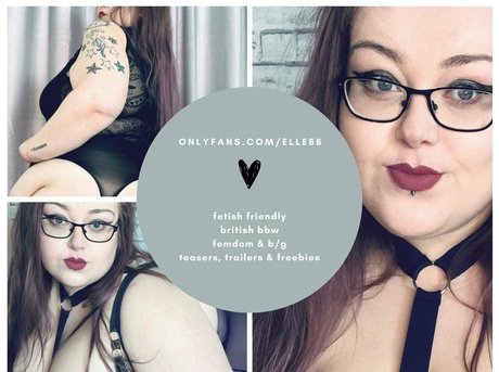 Thebbwbible